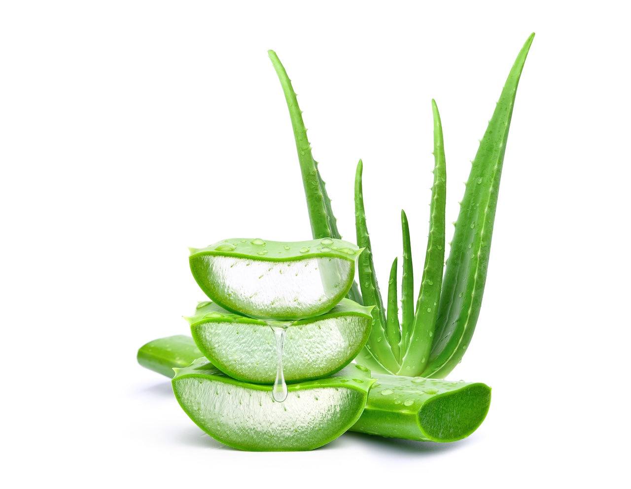 Aloe Barbadensis Leaf Juice